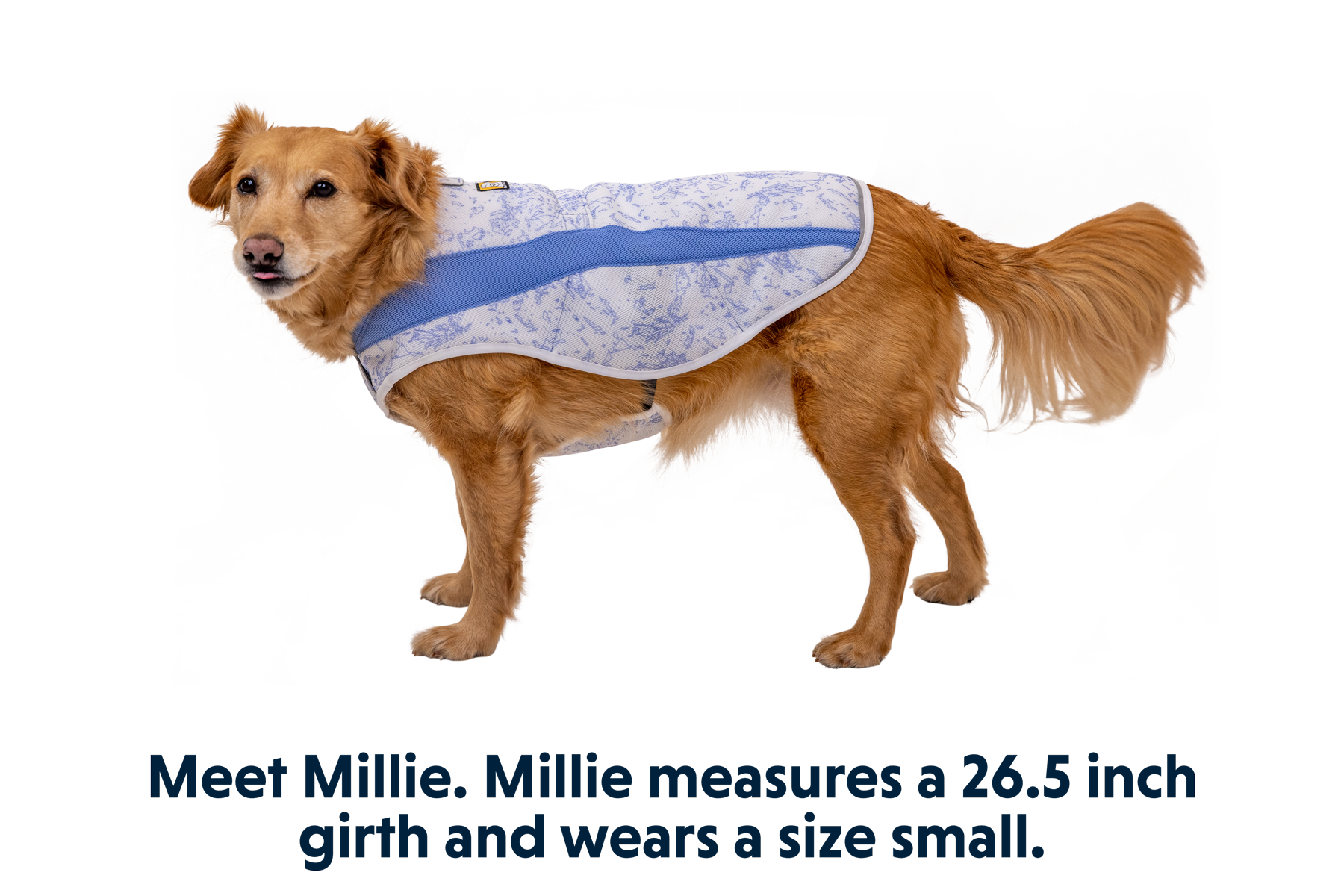 05403_Swamp-Cooler-Vest_Heliotrope-Purple_MILLIE_Small_c1051fe5-e0cf-48e1-85e1-d6d364aef85d.png