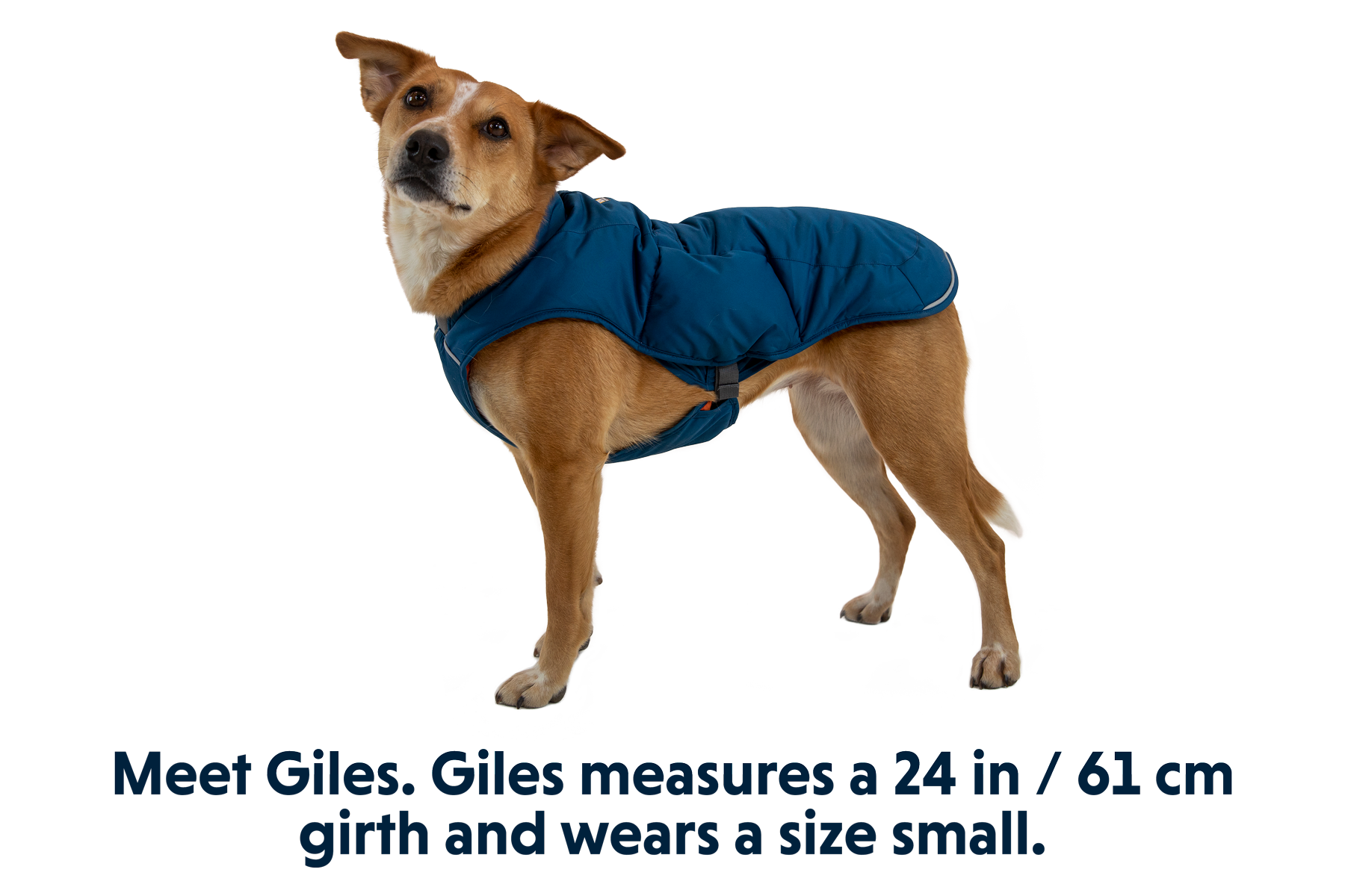 05603_Quinzee_Blue-Moon_GILES_Small_a2d9cb4c-a614-4279-8484-bd1d16196a57.png