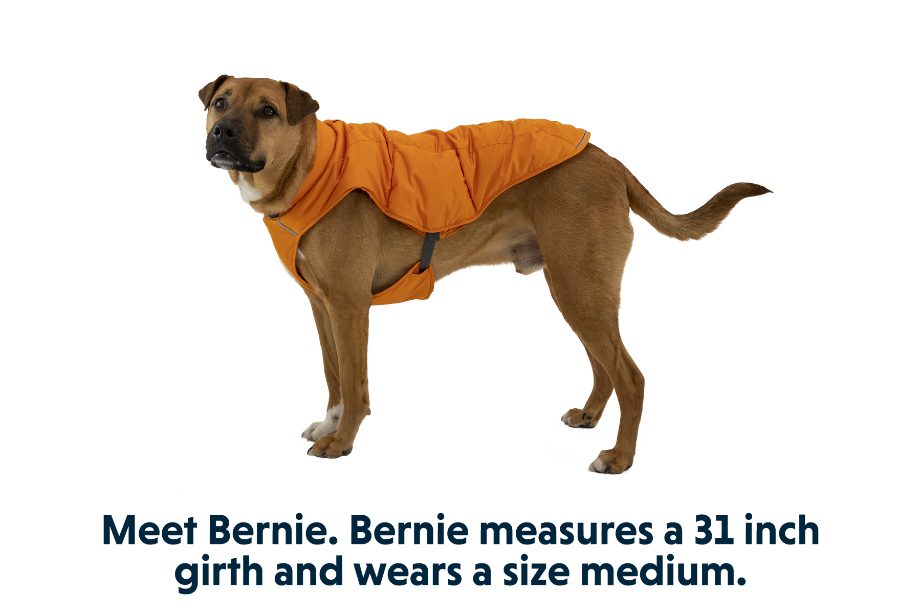 05603_Quinzee_Campfire-Orange_BERNIE_Medium_49fe706a-d423-4014-99c2-9d6eee710a3a.png
