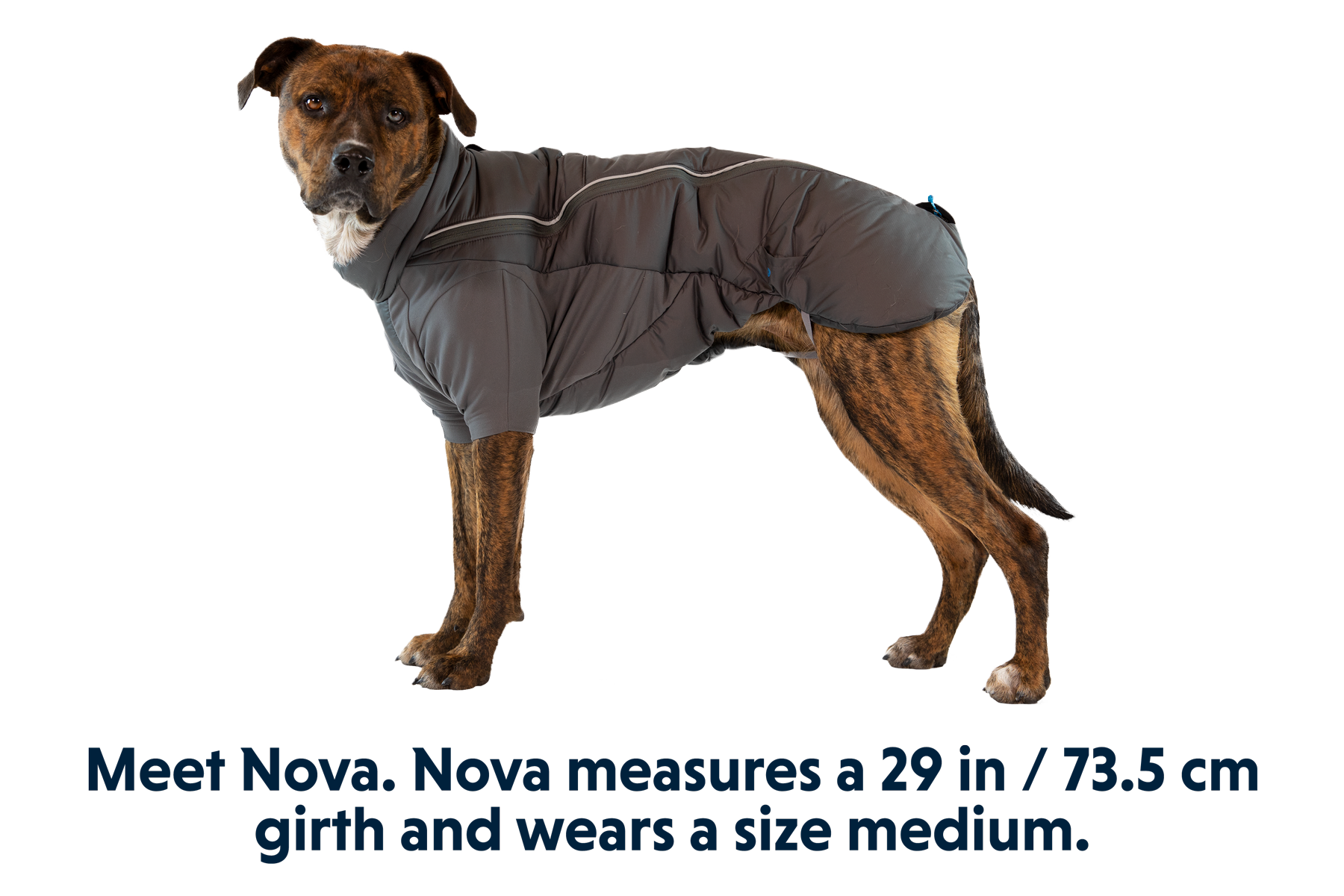 0565_Furness-Jacket_Twilight-Gray_NOVA_Medium_74d5bbb9-3e41-430a-b0d0-d19a9480e5cb.png