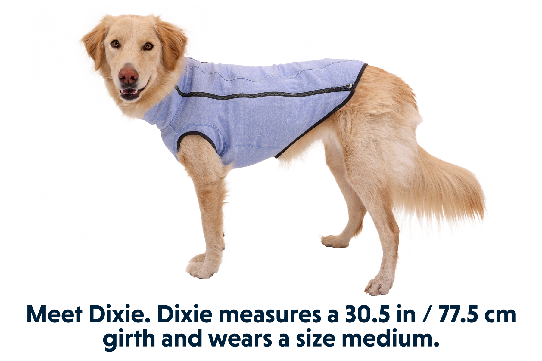 0591_Hemp-Hound_Heliotrope-Purple_DIXIE_Medium_fffecc3a-057c-447a-b9ac-d0c5994f7371.png
