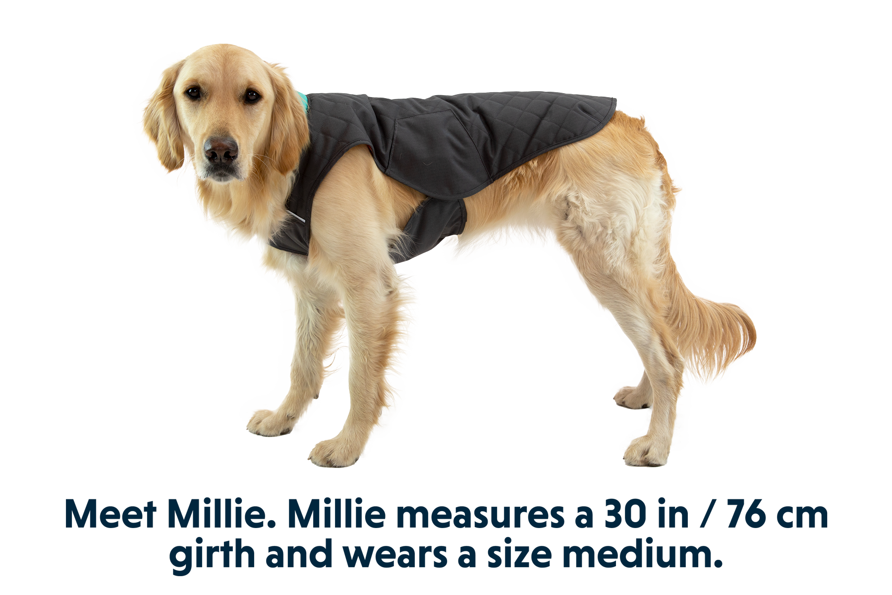 0595_Stumptown_Twilight-Gray_MILLIE_Medium_517f13ca-67aa-49da-a4ae-60ec7f03d0c4.png
