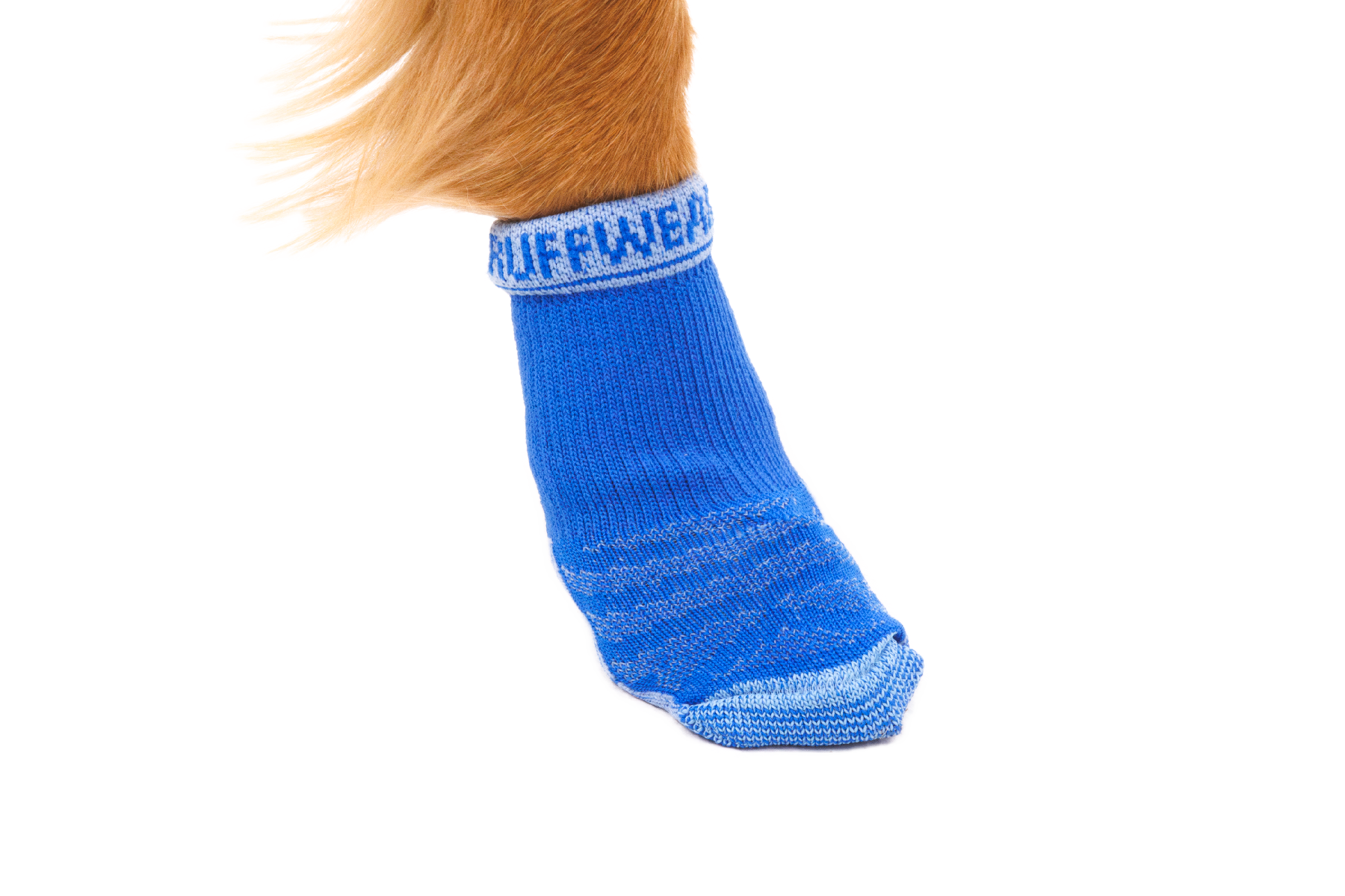 15803_BarknBoot-Sock_Blue-Pool_On-dog_SMALL_ce254fab-a6cd-4af9-a7c2-3d7711f0f0aa.png