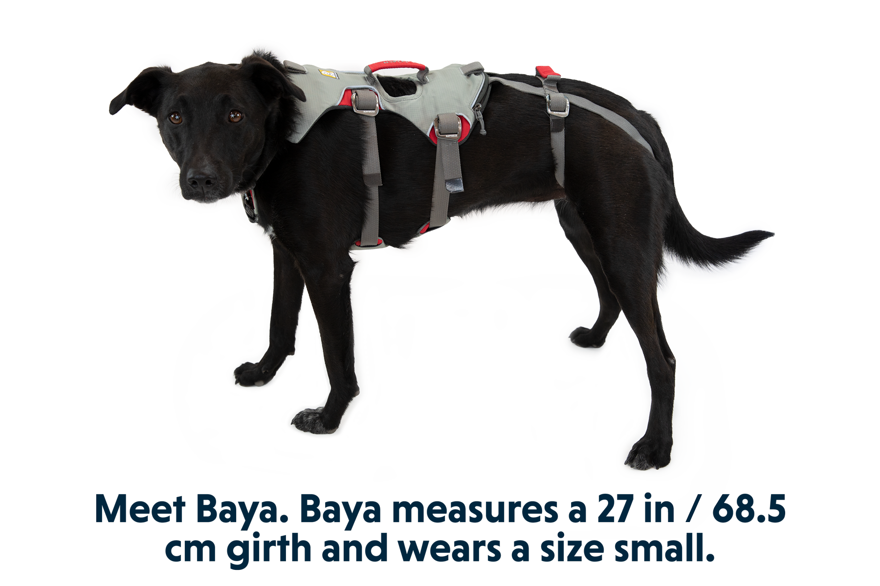 30301_Doubleback-Harness_Cloudburst-Gray_Leg-Loops_BAYA_Small_05d0c279-9dbf-4491-a80a-7b73eb339a9e.png