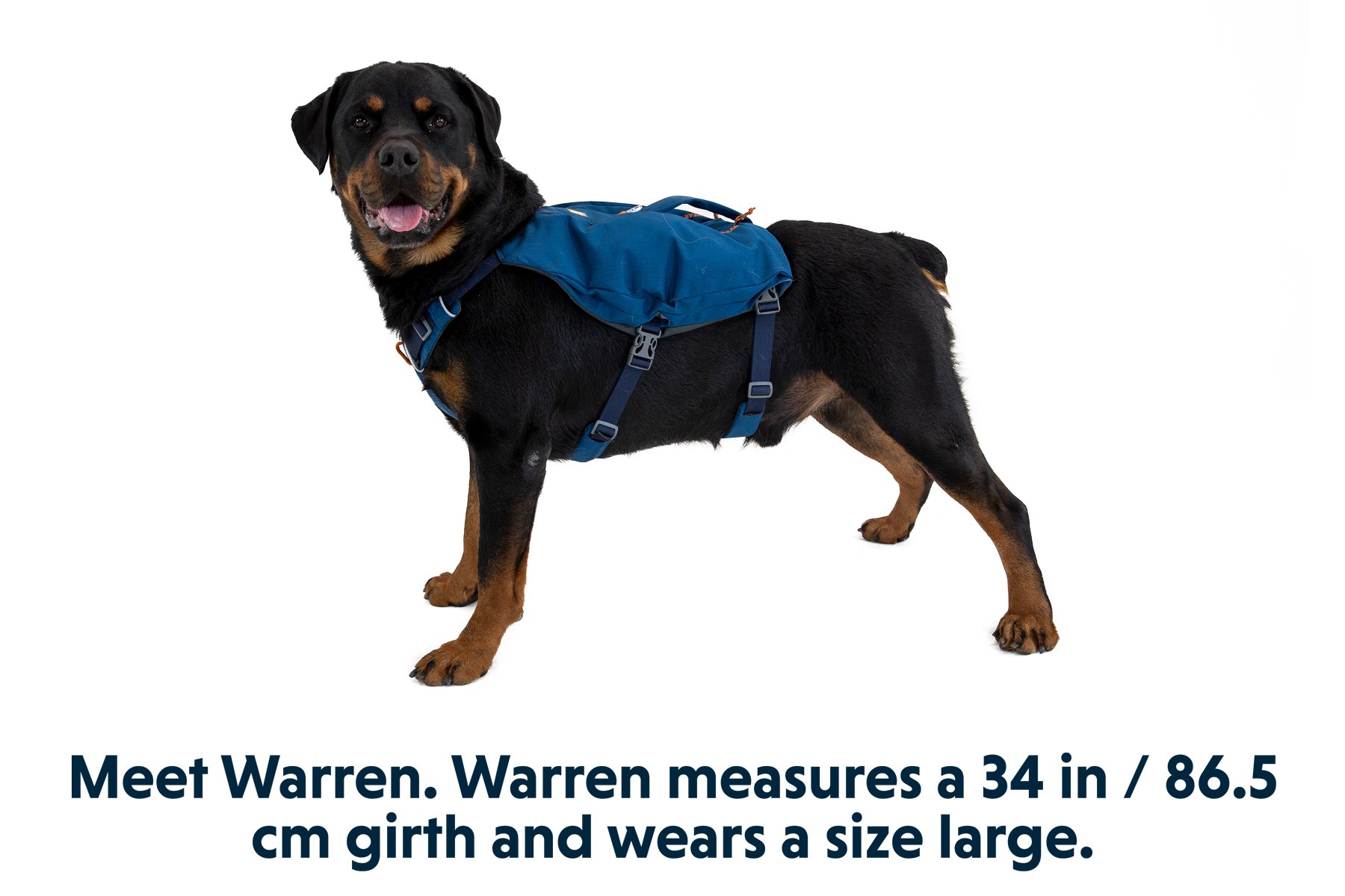 3035_Switchbak-Harness_Blue-Moon_WARREN_LXL.png