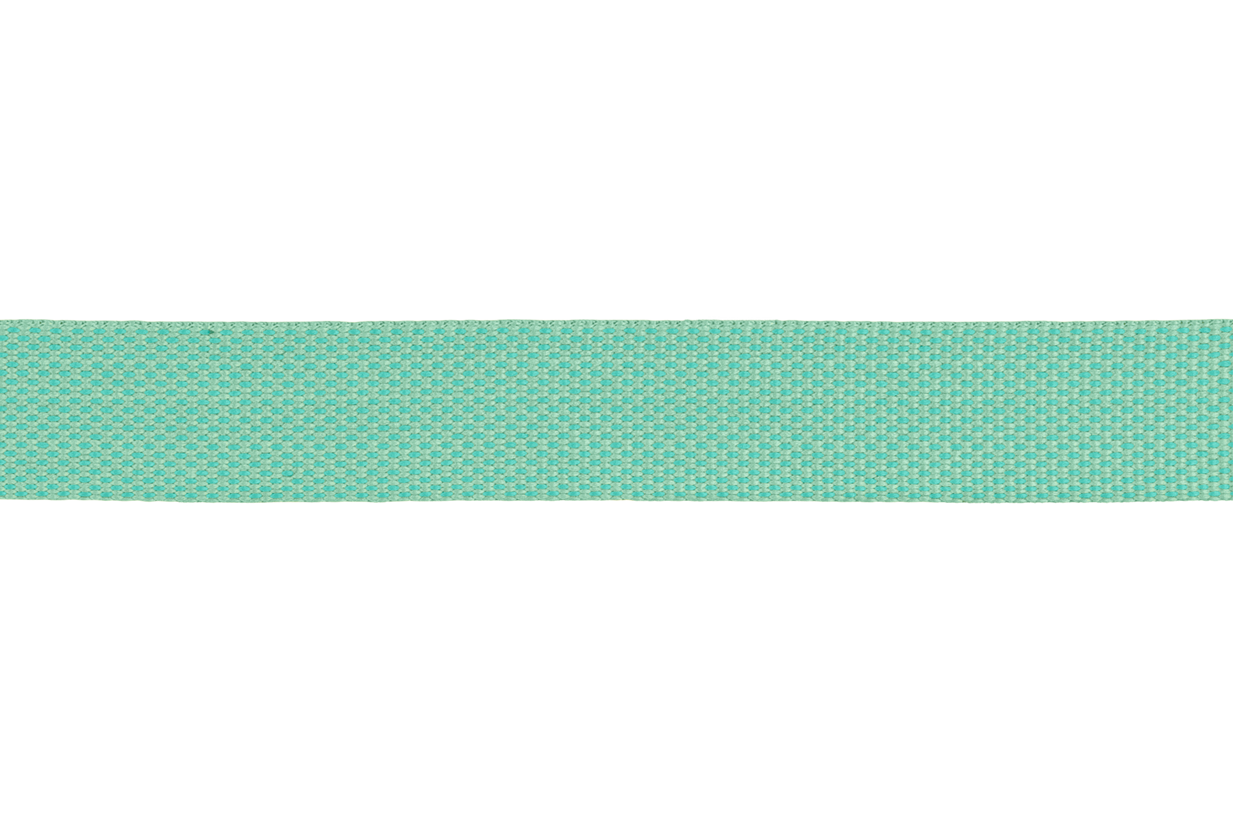 4095-Flagline-Leash-Sage-Green-Webbing-SMALL.png