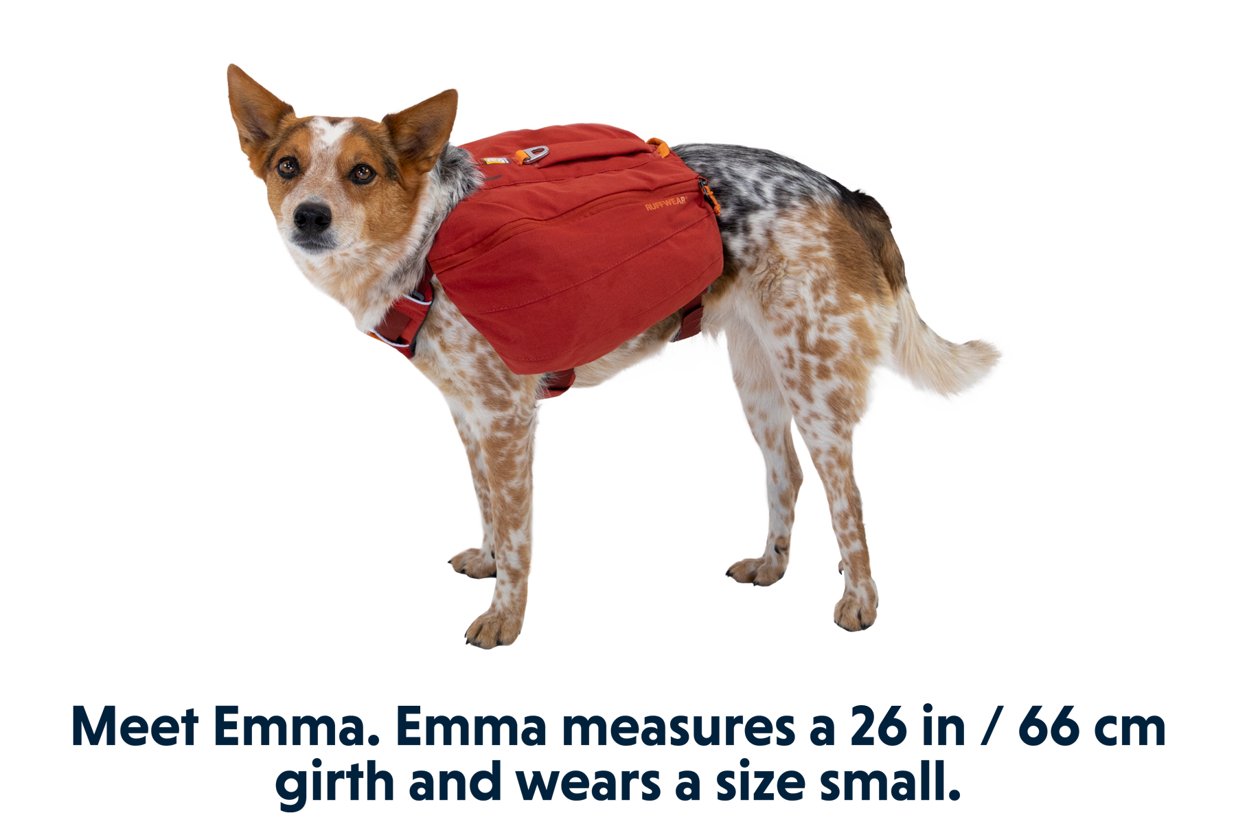 5060_Front-Range-Day-Pack_Red-Clay_EMMA_Small_ace40997-7e4e-4f7b-b546-ae7b4fe35c80.png