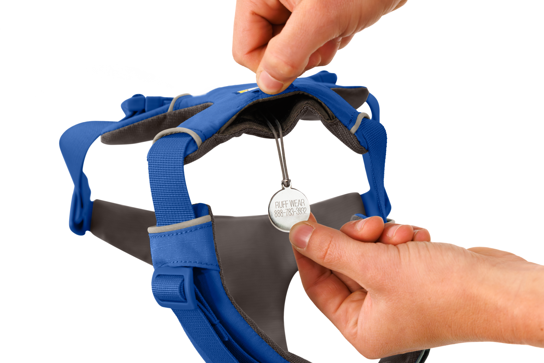 CompressedPNG-30503_Front-Range-Harness-Blue-Pool_ID-Tag_STUDIO.png