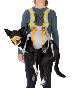 BackTrak™ Dog Evacuation Kit
